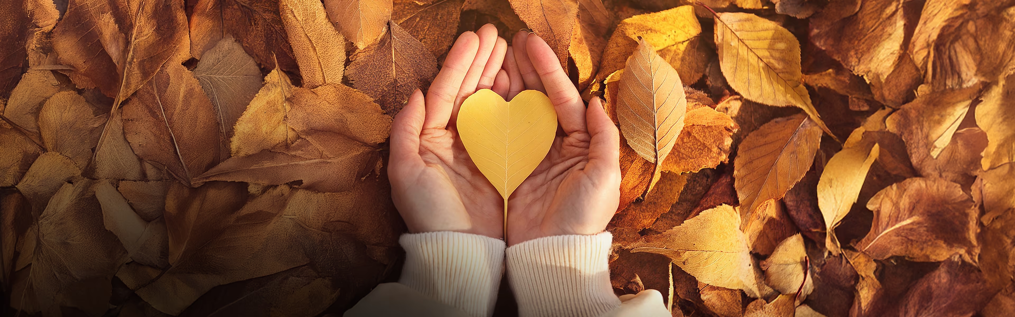Herbstliches Promo-Banner mit Händen, die ein herzförmiges Blatt über goldenen Blättern halten – Symbol für Gefühle, Wärme und spirituelle Orientierung.